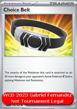 Ceinture Choix #176