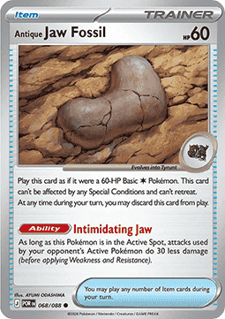 Antique Jaw Fossil #068 — Perfect Order: Additionals