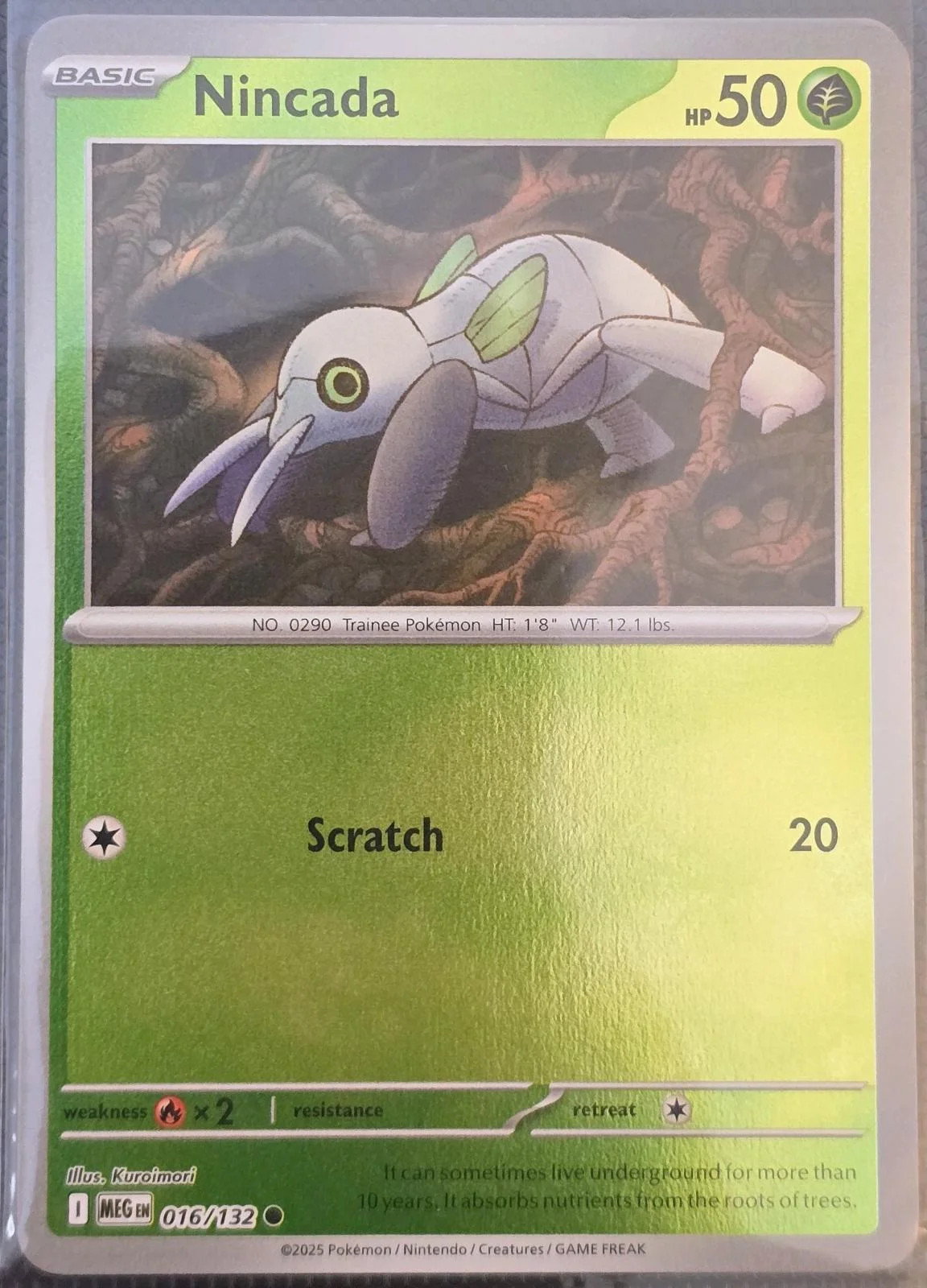 Nincada #016 — Mega-Entwicklung (Reverse Holo)