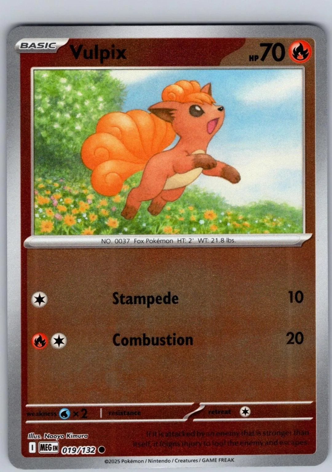 Vulpix #019 — Mega-Entwicklung (Reverse Holo)