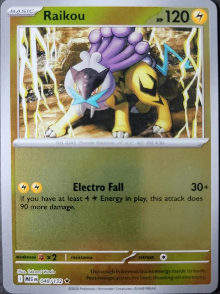 Raikou #048 — Megaevoluzione (Reverse Holo)