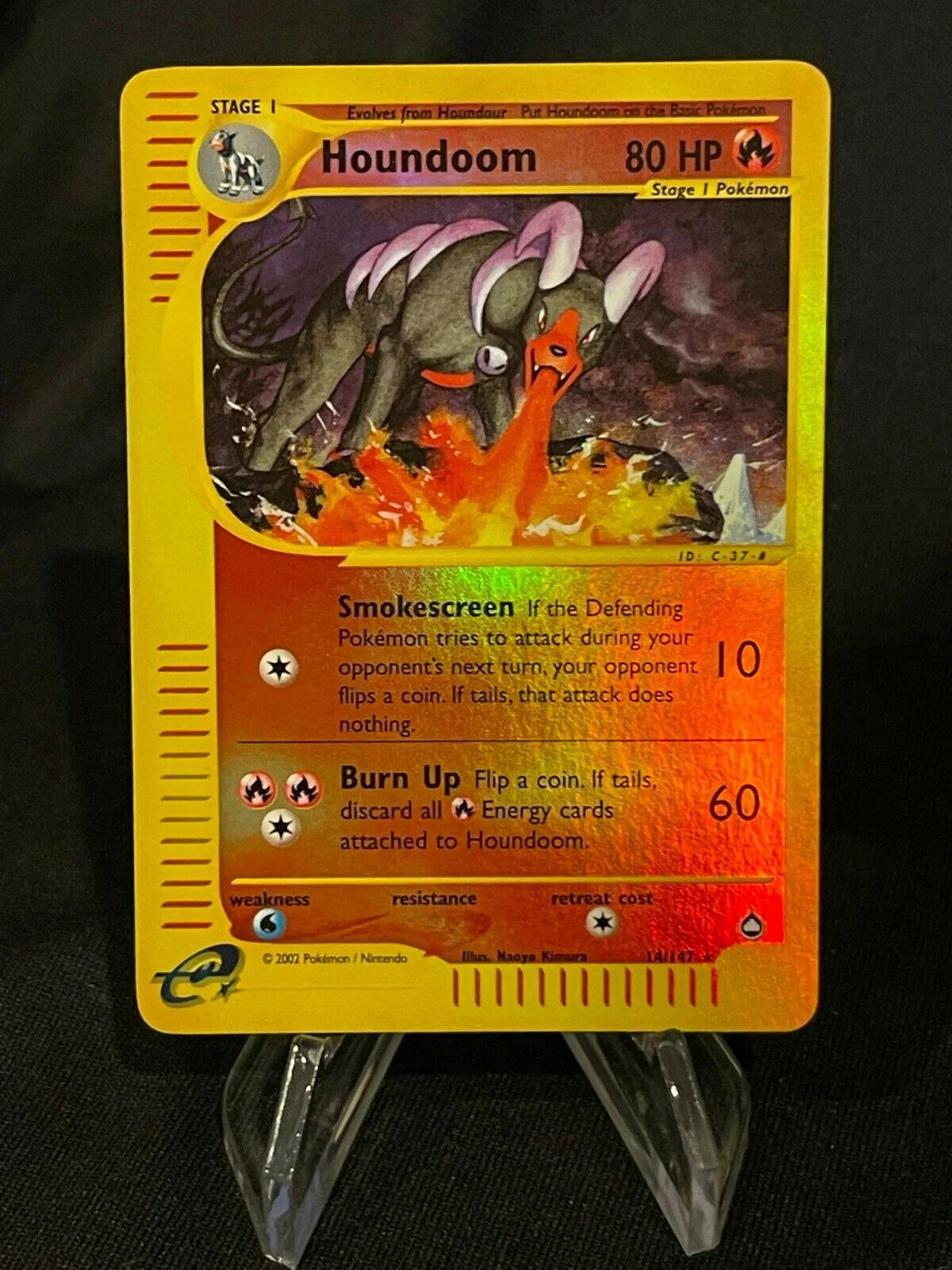 Hundemon #14 — Aquapolis (Reverse Holo)