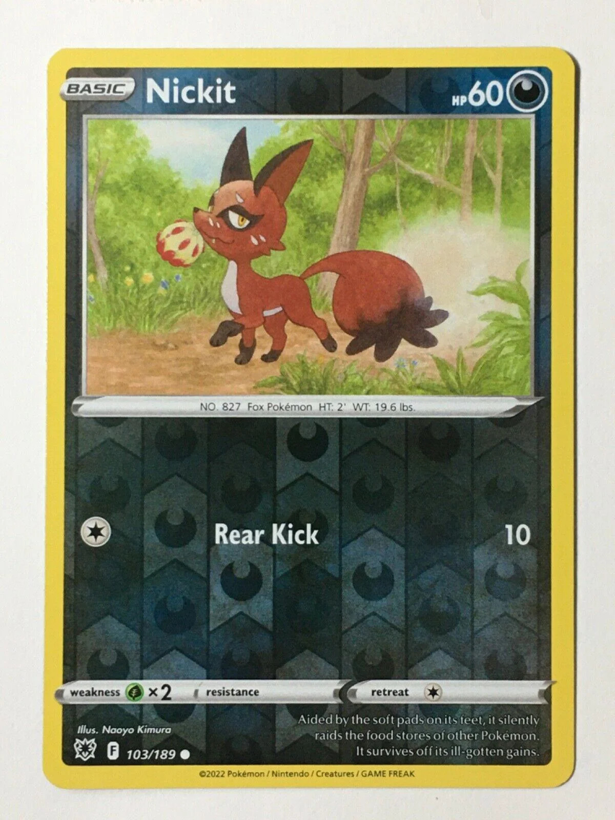 Nickit #103 — Estrelas Radiantes (Reverse Holo)
