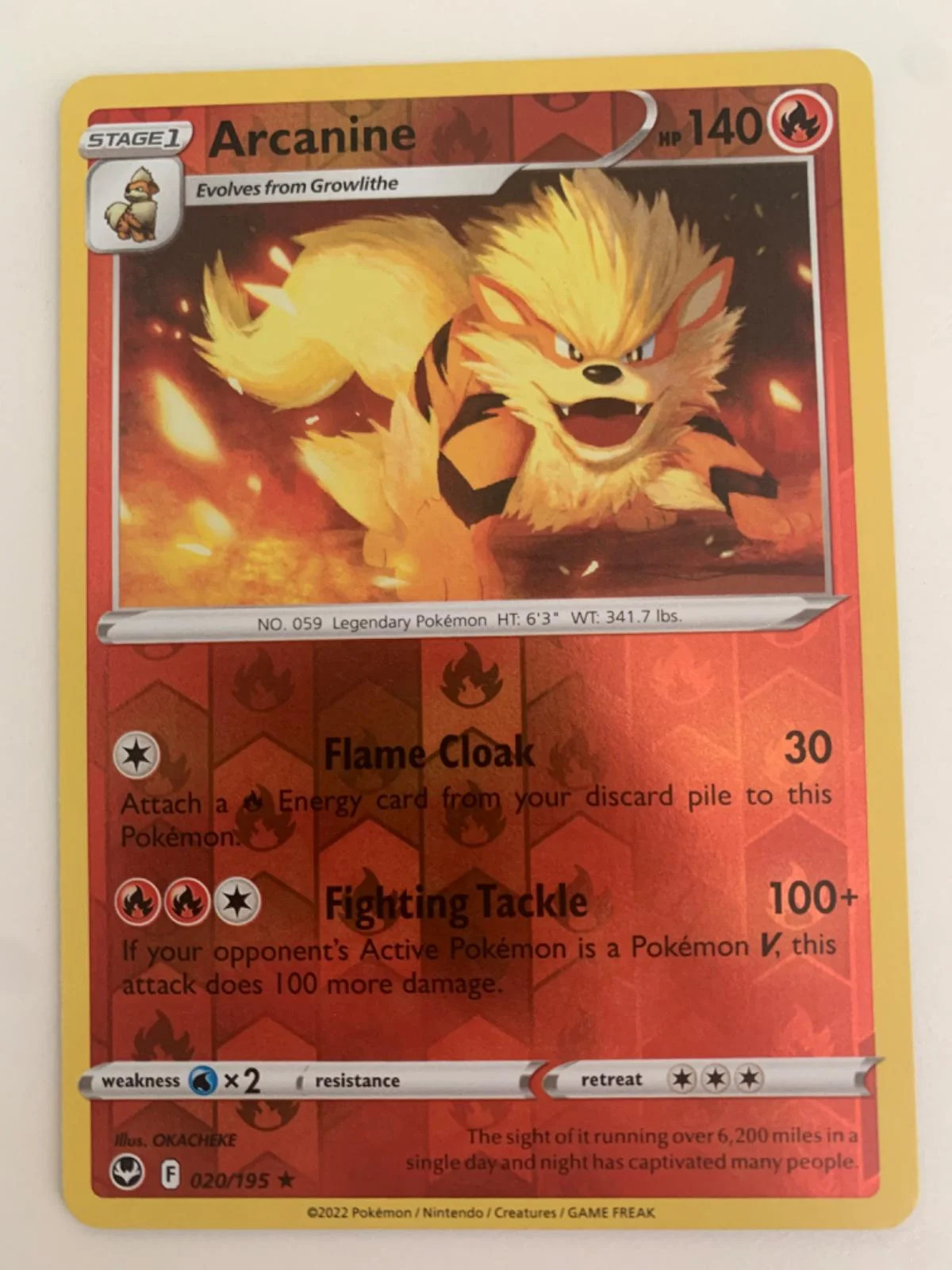 Arcanine #020 — Tempesta Argentata (Reverse Holo)