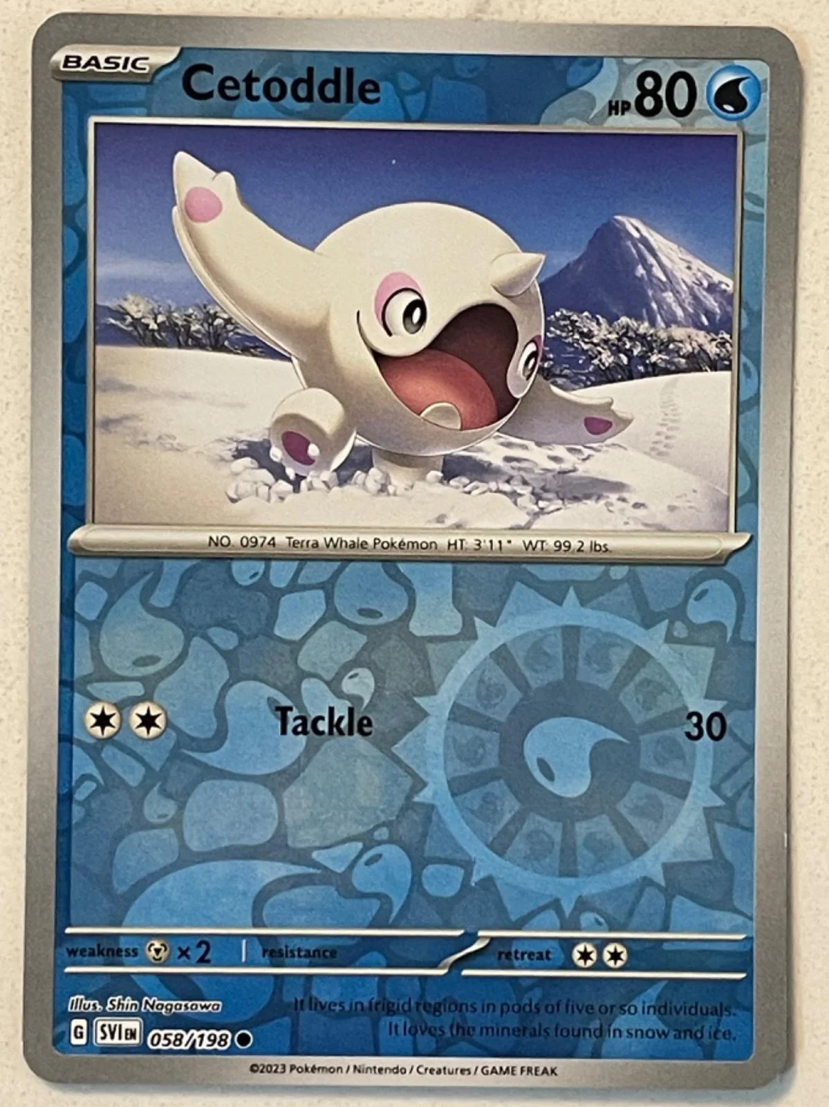 Cetoddle #058 — Escarlate e Violeta (Reverse Holo)
