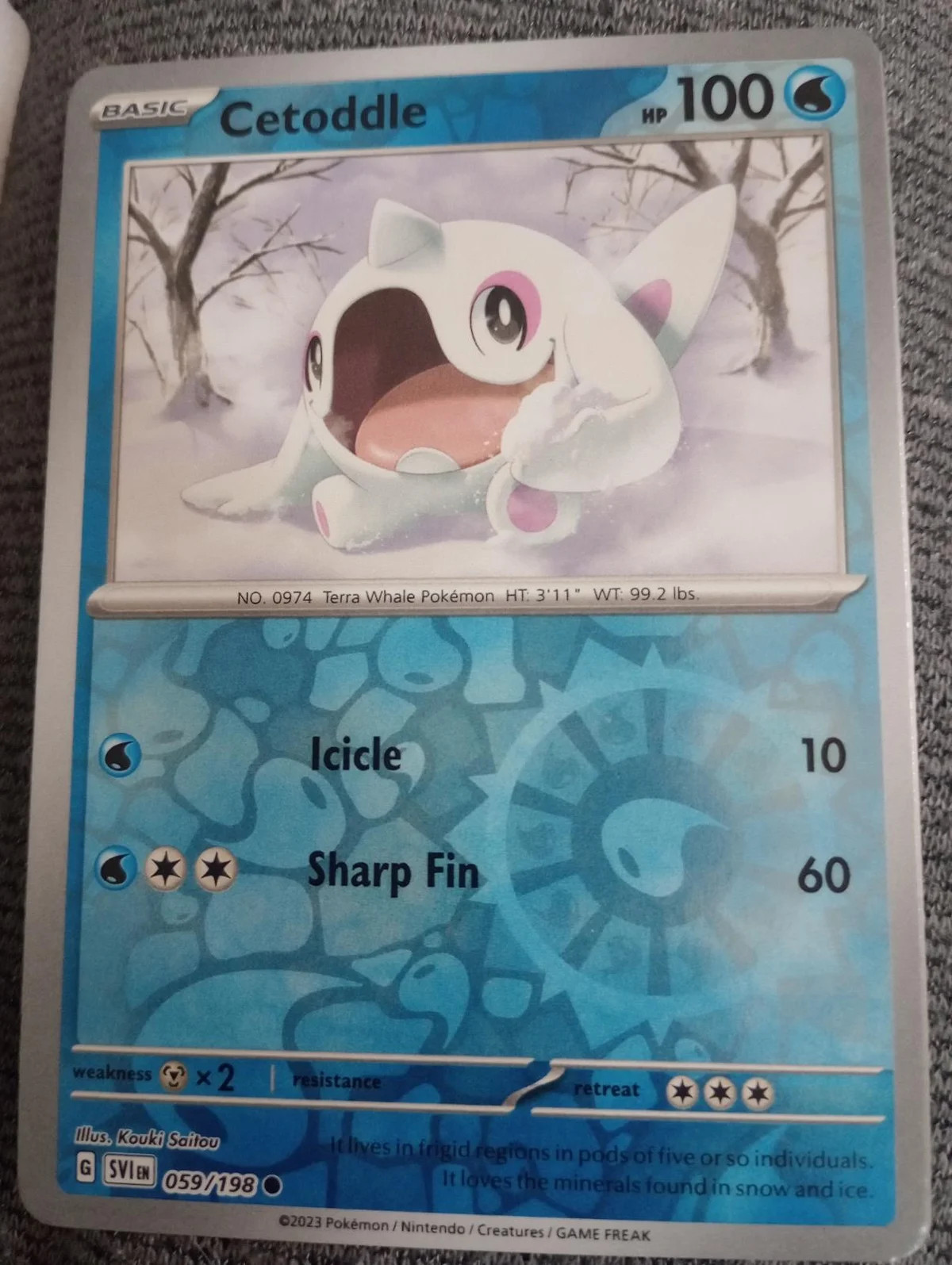 Cetoddle #059 — Escarlate e Violeta (Reverse Holo)