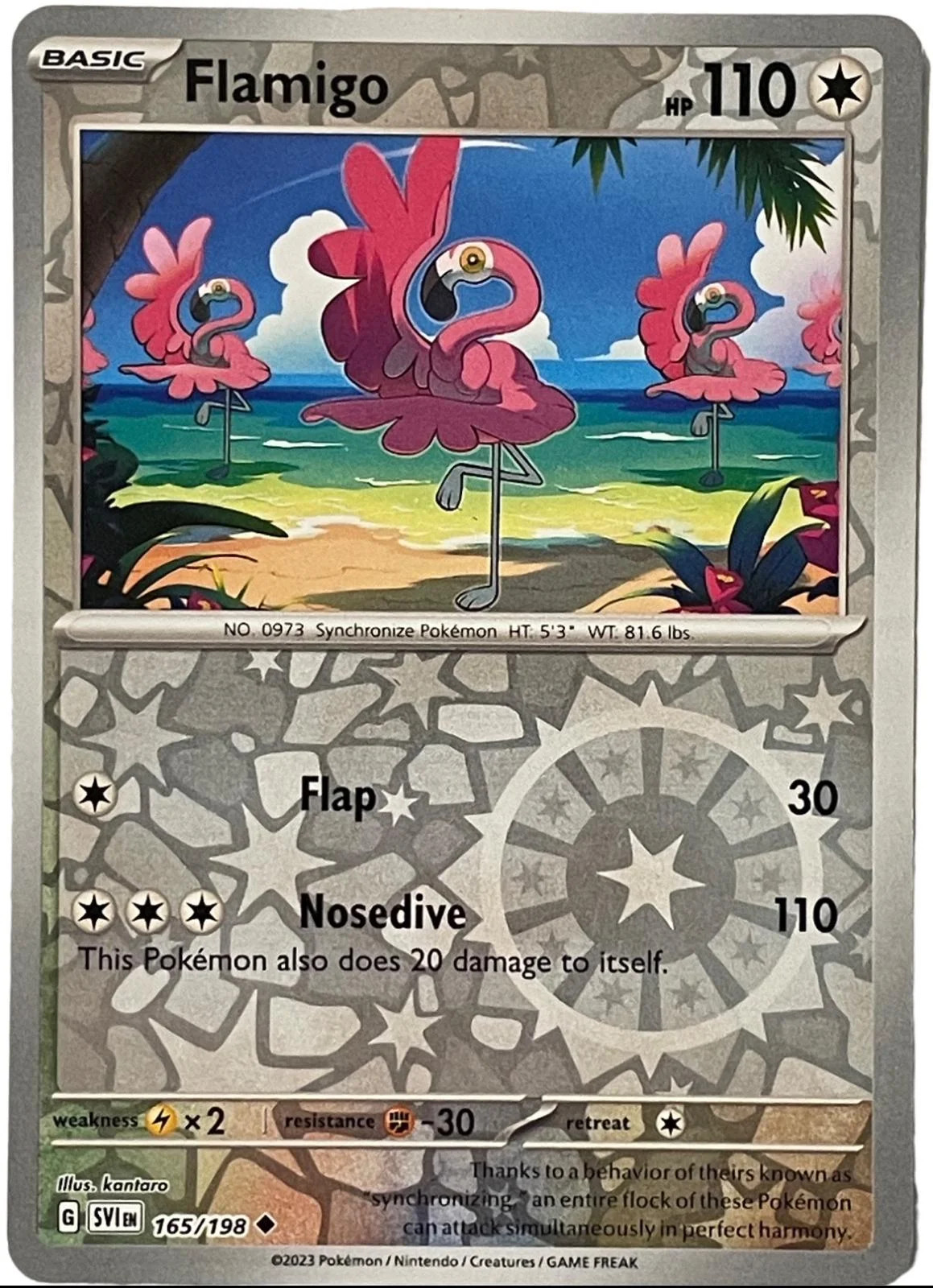 Flamigo #165 — Escarlate e Violeta (Reverse Holo)