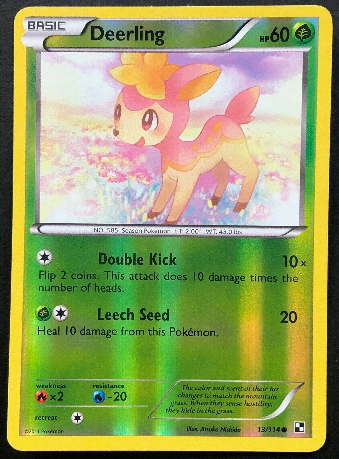 Sesokitz #13 — Schwarz & Weiß (Reverse Holo)