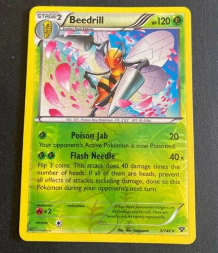 Bibor #5 — XY (Reverse Holo)