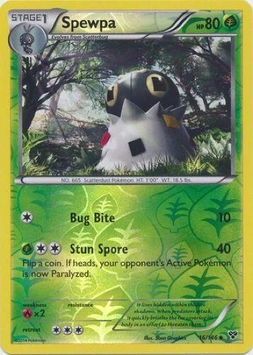 Puponcho #16 — XY (Reverse Holo)