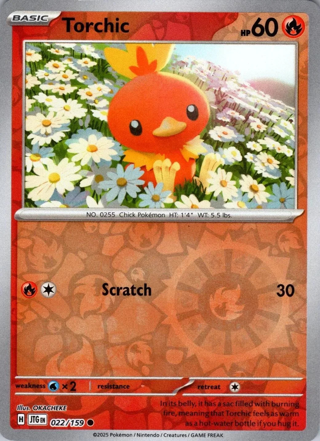 Torchic #022 — Avventure Insieme (Reverse Holo)