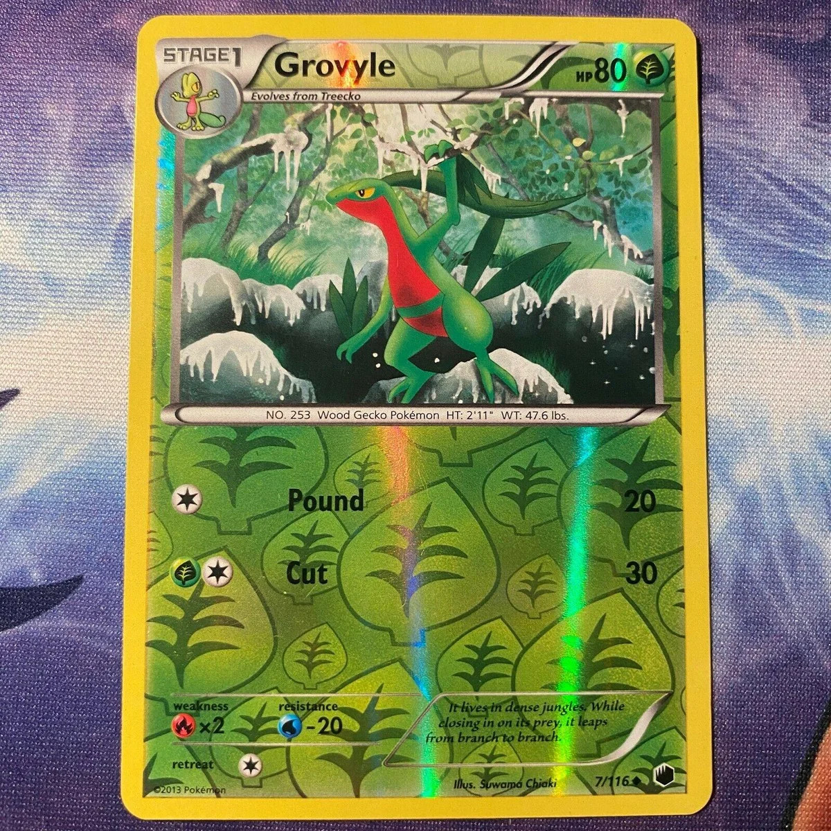 Grovyle #7 — Glaciazione Plasma (Reverse Holo)