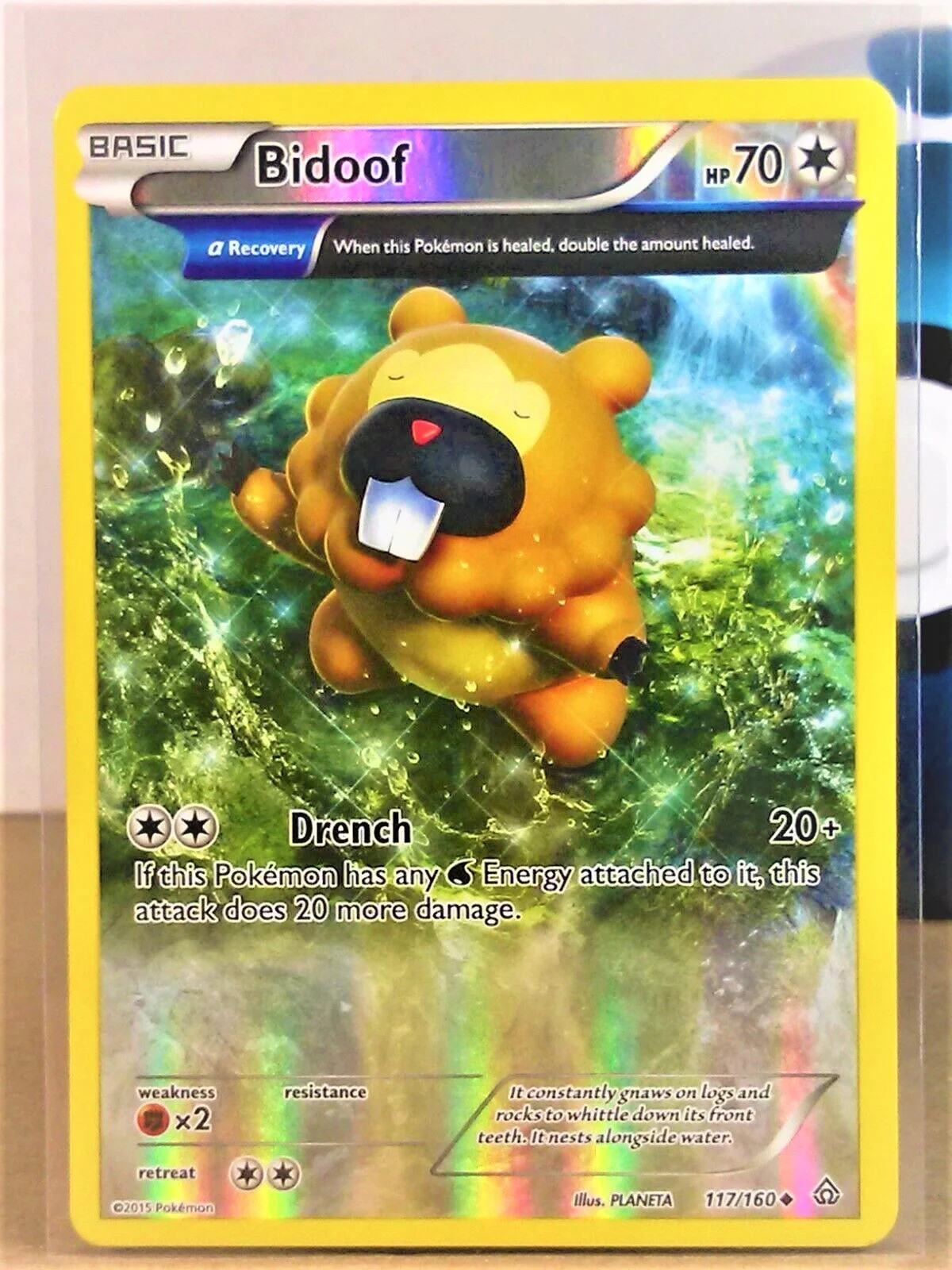 Bidoof #117 — Duelos Primigenios (Reverse Holo)