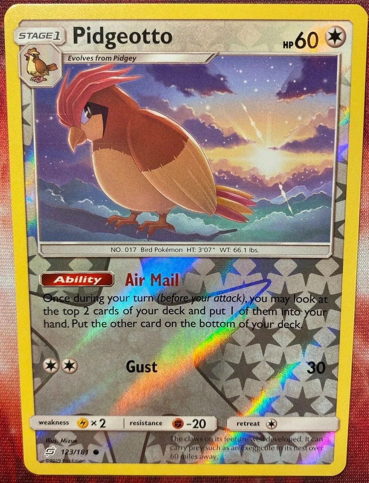 Pidgeotto #123 — Gioco di Squadra (Reverse Holo)